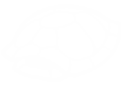 A simplified white icon of a turtle shell